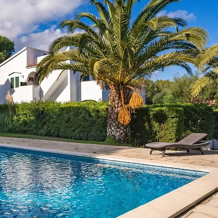 Violetas Ареналь-д'эн-Кастель