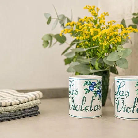 Violetas Сasa de vacaciones