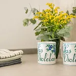 Violetas بيت للعطل