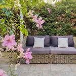 Violetas * أرينال دو ان كاسيل