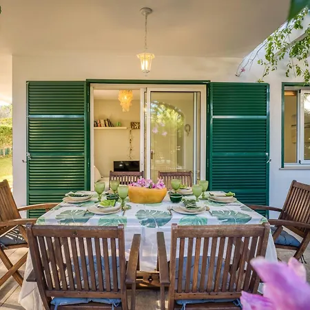 Violetas * Arenal d'en Castell