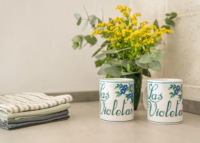 Violetas Prázdninový dům